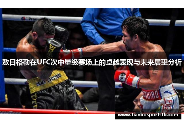 敖日格勒在UFC次中量级赛场上的卓越表现与未来展望分析