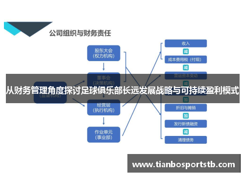 从财务管理角度探讨足球俱乐部长远发展战略与可持续盈利模式