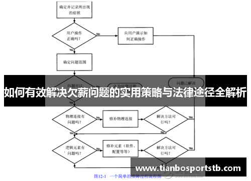 如何有效解决欠薪问题的实用策略与法律途径全解析