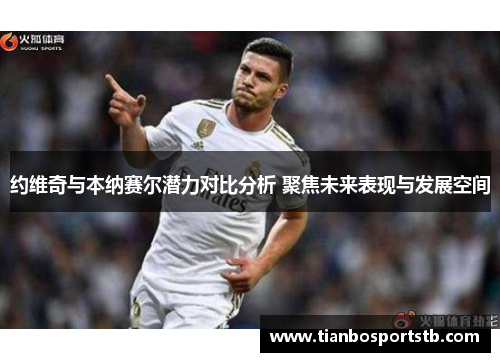 约维奇与本纳赛尔潜力对比分析 聚焦未来表现与发展空间