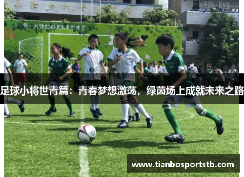 足球小将世青篇：青春梦想激荡，绿茵场上成就未来之路